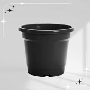 Basic_2 - Surya Homeware