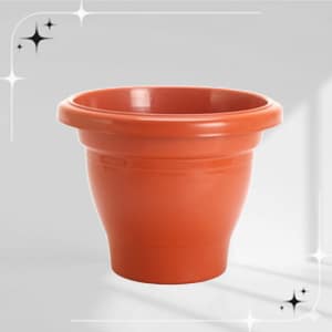 Classic_04 - Surya Homeware