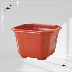 Octa - Surya Homeware