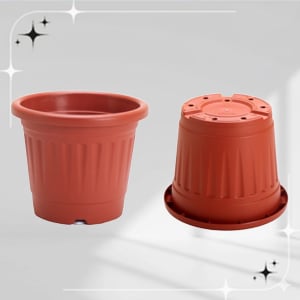 grow - Surya Homeware