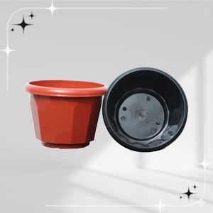 rainbow-collection - Surya Homeware