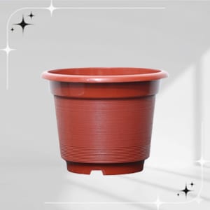 rainbow-stripes - Surya Homeware